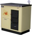 Kieto kuro katilas KALVIS-4SB-2 10 KW (su termometru)